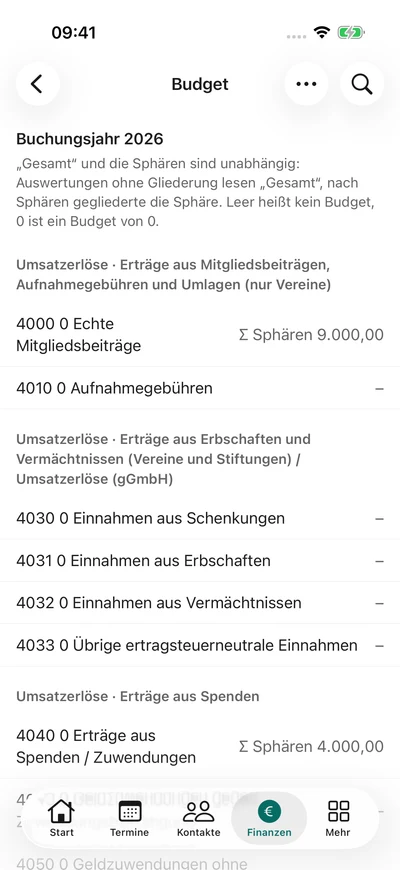 Das Jahresbudget – iPhone, Originalaufnahme mit fiktiven Vereinsdaten.
