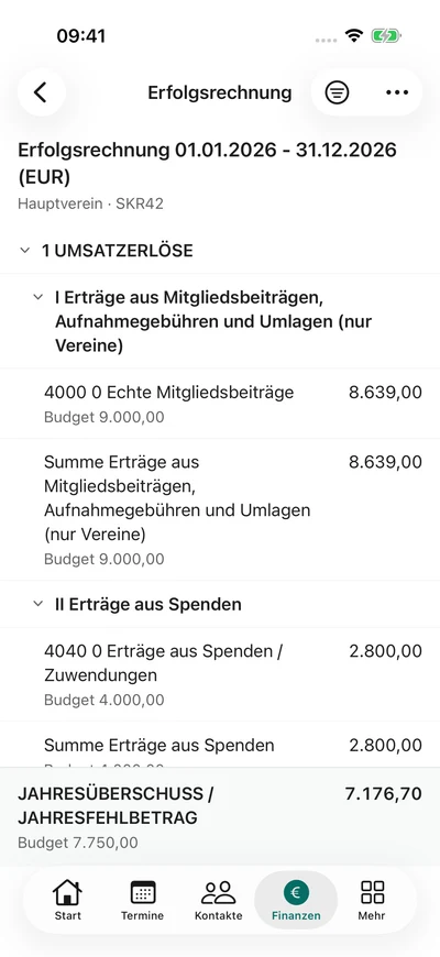 Die Erfolgsrechnung – iPhone, Originalaufnahme mit fiktiven Vereinsdaten.