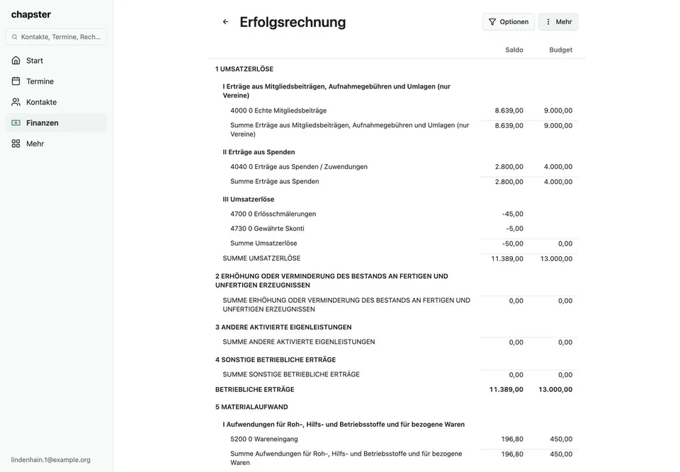 Die Erfolgsrechnung im Web – Webversion, Originalaufnahme mit fiktiven Vereinsdaten.